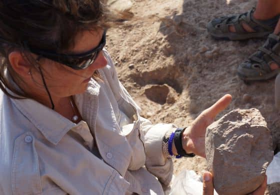 Foto de las piedras talladas con más de 3.3 millones de años de antigüedad encontradas en la zona arqueológica de Lomekwi 3